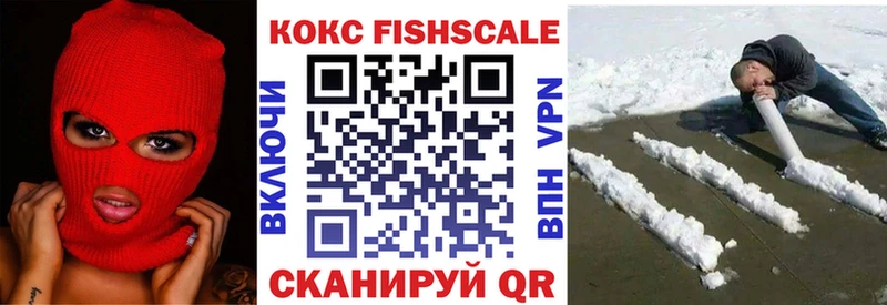 Cocaine Fish Scale  сколько стоит  ссылка на мегу зеркало  Слюдянка 