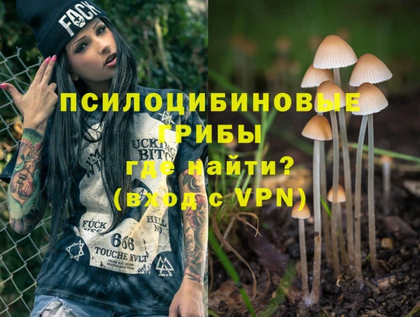 трава Лабытнанги