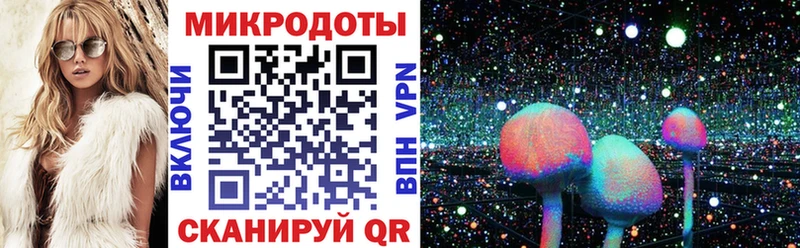 Псилоцибиновые грибы Psilocybe  где купить наркоту  Слюдянка 